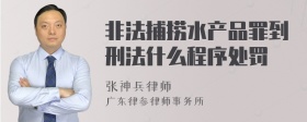 非法捕捞水产品罪到刑法什么程序处罚