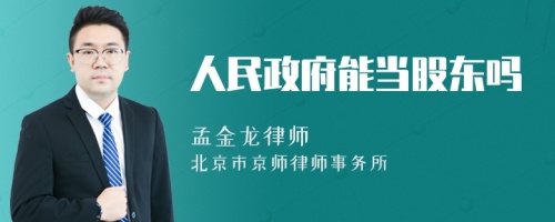 人民政府能当股东吗