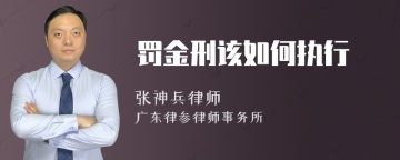 罚金刑该如何执行