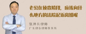 老公在侦查阶段，应该向什么地方的法院起诉离婚呢