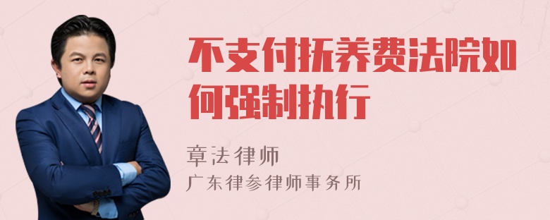 不支付抚养费法院如何强制执行