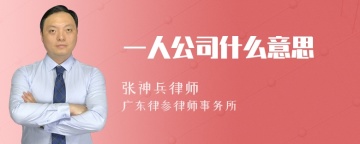 一人公司什么意思