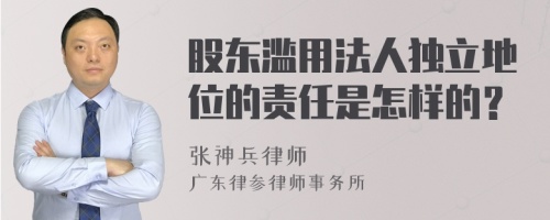 股东滥用法人独立地位的责任是怎样的？