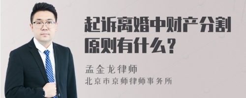 起诉离婚中财产分割原则有什么？