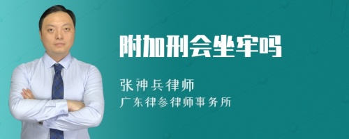 附加刑会坐牢吗