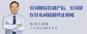 公司被宣告破产后，公司是在什么时候被终止的呢