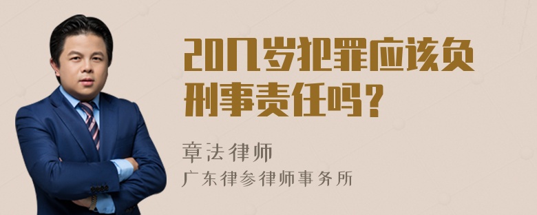 20几岁犯罪应该负刑事责任吗？