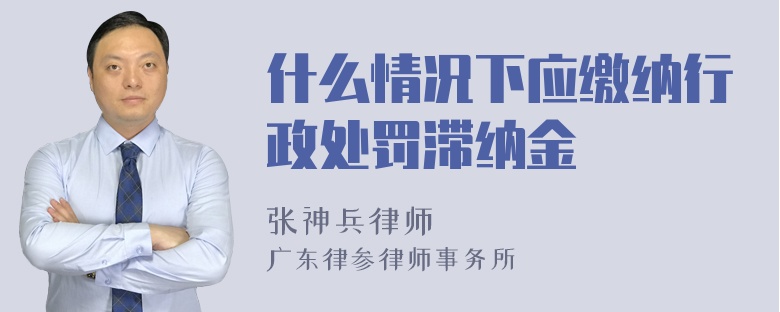 什么情况下应缴纳行政处罚滞纳金