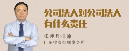 公司法人对公司法人有什么责任