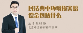 民法典中环境损害赔偿金包括什么