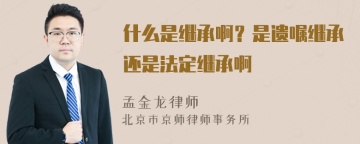 什么是继承啊？是遗嘱继承还是法定继承啊