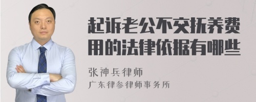 起诉老公不交抚养费用的法律依据有哪些