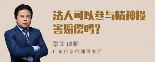 法人可以参与精神损害赔偿吗？