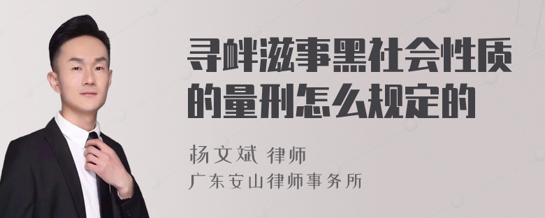 寻衅滋事黑社会性质的量刑怎么规定的