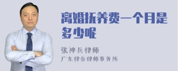 离婚抚养费一个月是多少呢