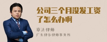 公司三个月没发工资了怎么办啊