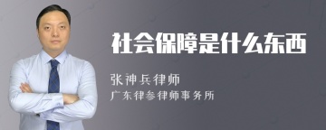 社会保障是什么东西