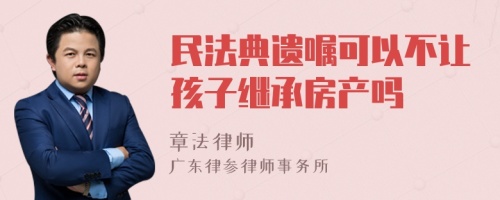 民法典遗嘱可以不让孩子继承房产吗