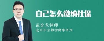 自己怎么缴纳社保