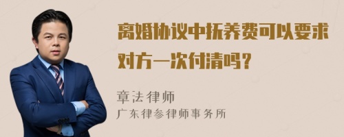 离婚协议中抚养费可以要求对方一次付清吗？