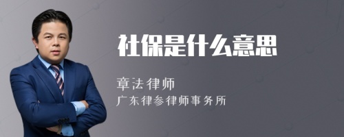 社保是什么意思