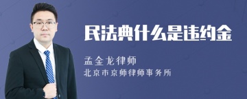 民法典什么是违约金