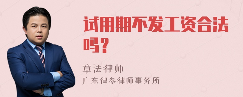 试用期不发工资合法吗？