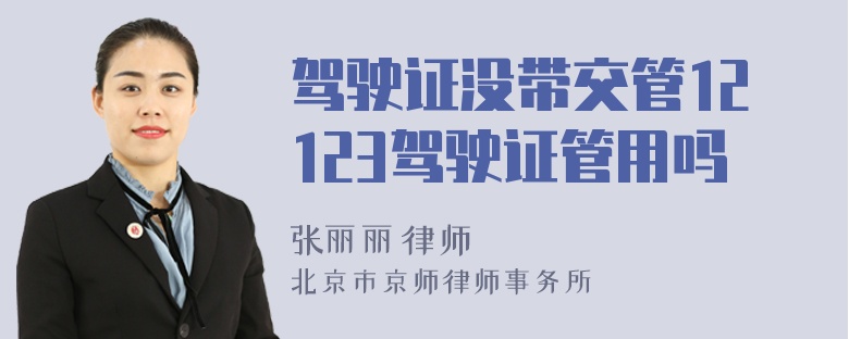 驾驶证没带交管12123驾驶证管用吗
