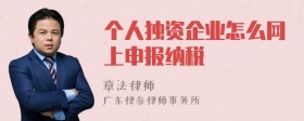 个人独资企业怎么网上申报纳税