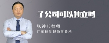 子公司可以独立吗