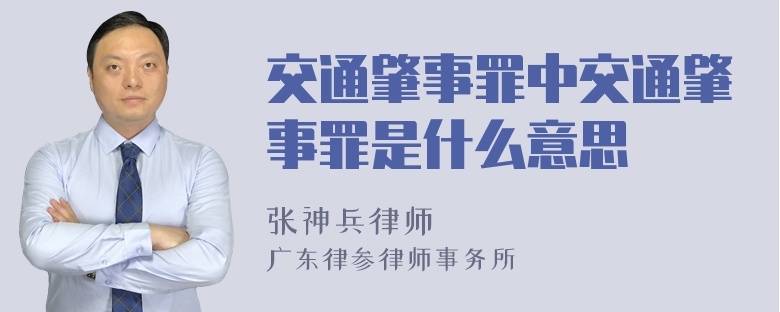 交通肇事罪中交通肇事罪是什么意思