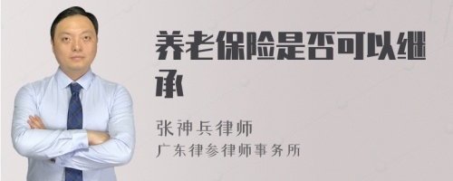 养老保险是否可以继承