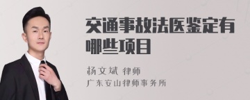 交通事故法医鉴定有哪些项目