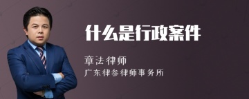 什么是行政案件