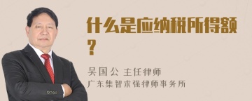 什么是应纳税所得额？