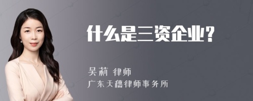 什么是三资企业？