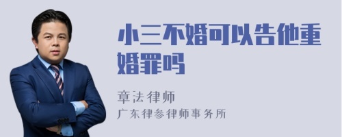 小三不婚可以告他重婚罪吗