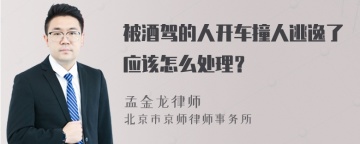 被酒驾的人开车撞人逃逸了应该怎么处理？