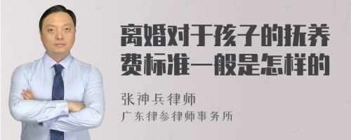 离婚对于孩子的抚养费标准一般是怎样的