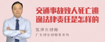 交通事故致人死亡逃逸法律责任是怎样的