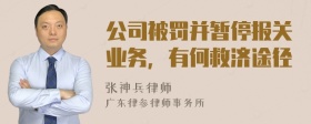 公司被罚并暂停报关业务，有何救济途径