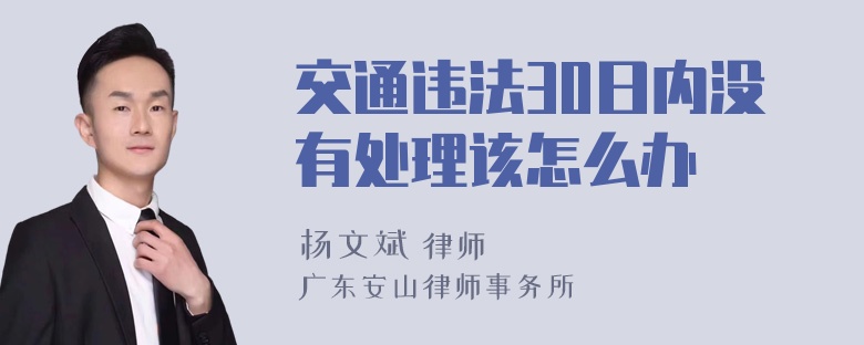 交通违法30日内没有处理该怎么办