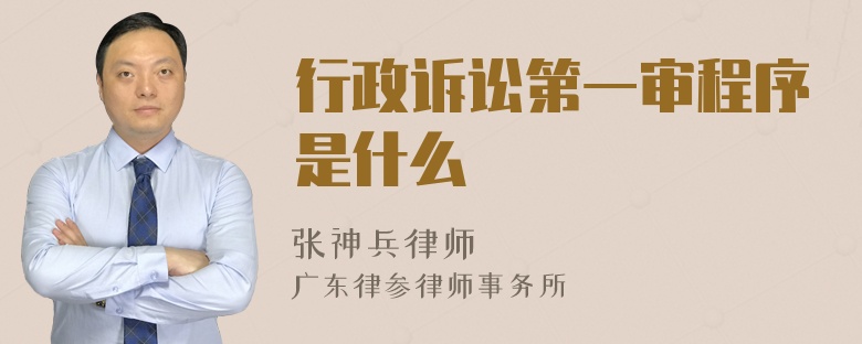 行政诉讼第一审程序是什么