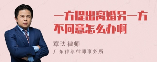 一方提出离婚另一方不同意怎么办啊