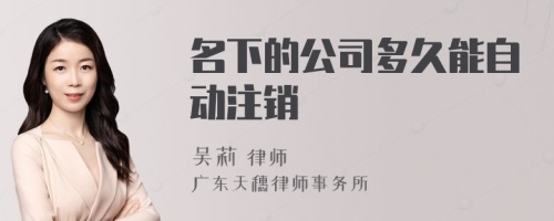 名下的公司多久能自动注销