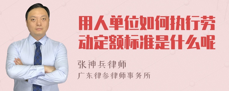 用人单位如何执行劳动定额标准是什么呢