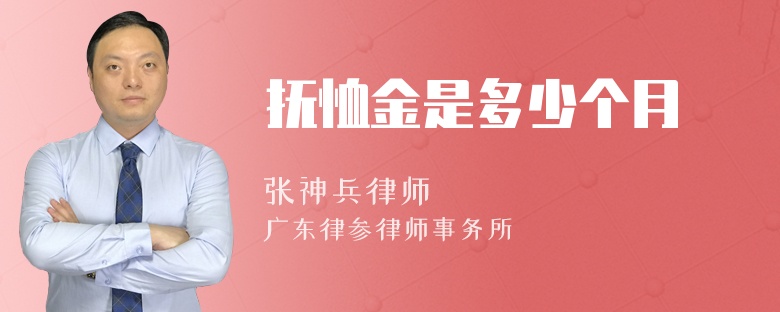 抚恤金是多少个月