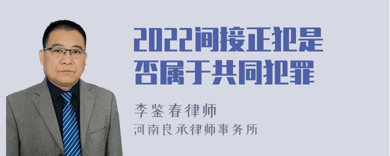 2022间接正犯是否属于共同犯罪