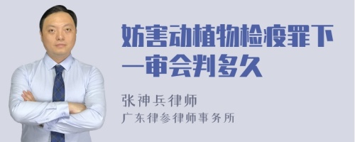 妨害动植物检疫罪下一审会判多久