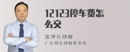 12123停车费怎么交